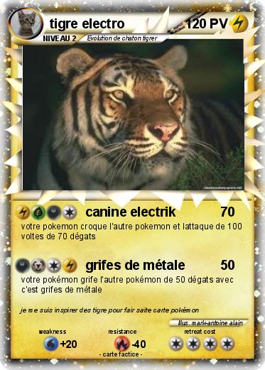 Pokemon tigre electro