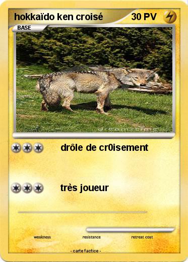 Pokemon hokkaïdo ken croisé