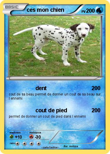 Pokemon ces mon chien
