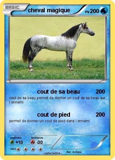 Pokemon cheval magique