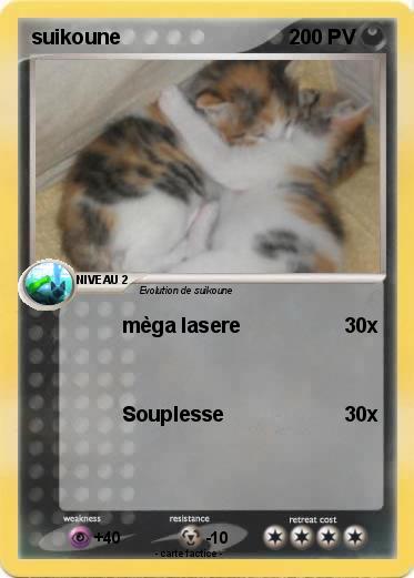 Pokemon suikoune