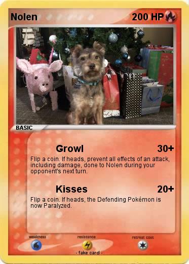 Pokemon Nolen