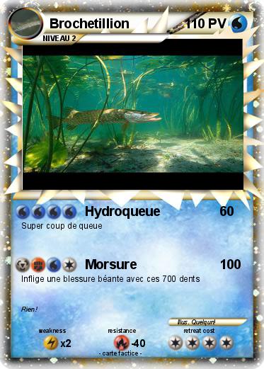 Pokemon Brochetillion