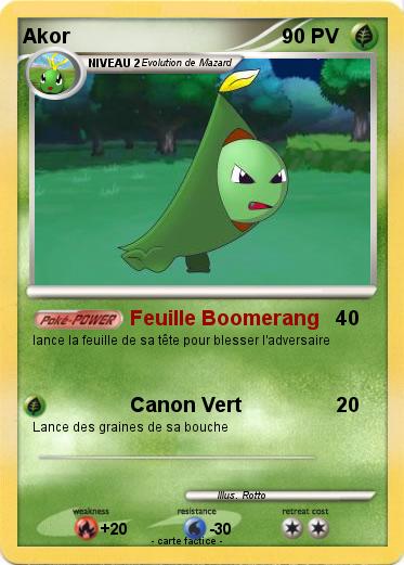 Pokemon Akor