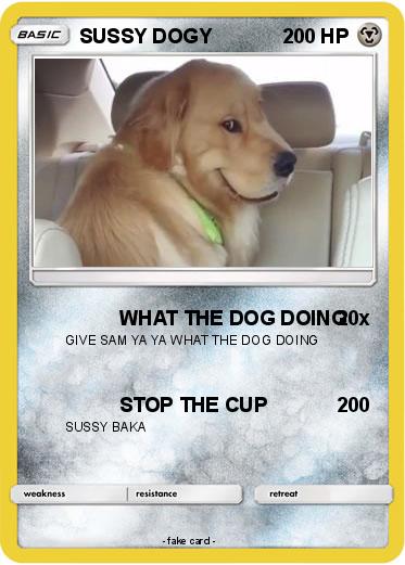 Pokemon SUSSY DOGY