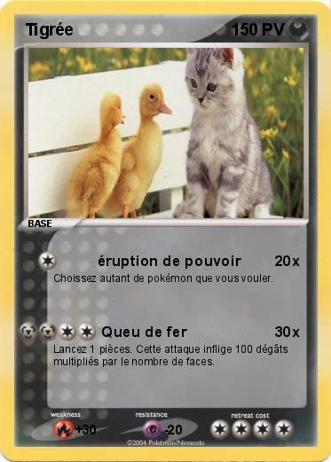 Pokemon Tigrée