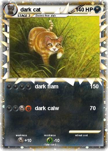 Pokemon dark cat