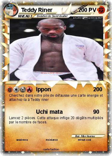 Pokemon Teddy Riner