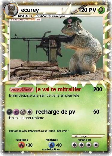Pokemon ecurey