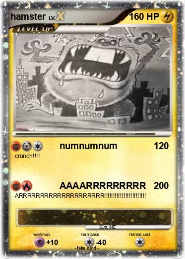 Pokemon hamster