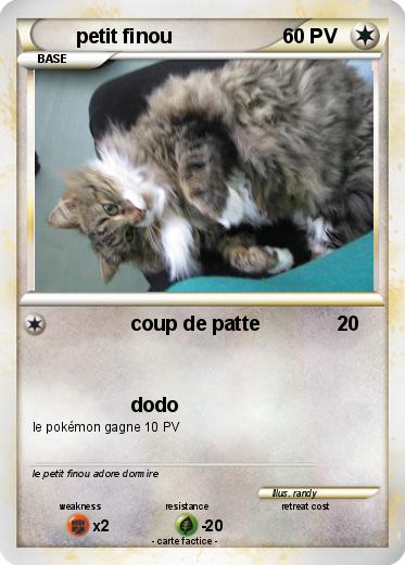 Pokemon petit finou