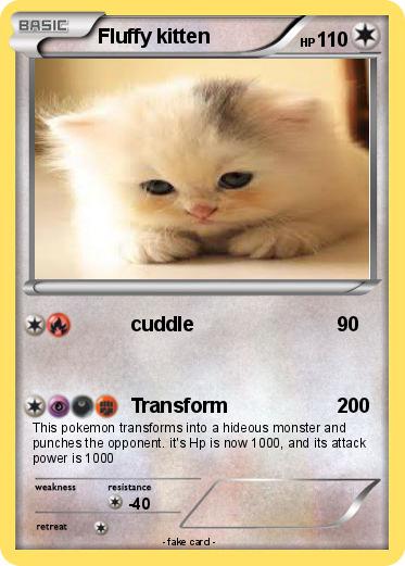 Pokemon Fluffy kitten
