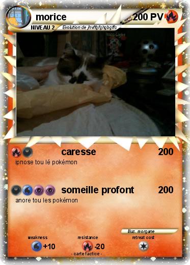 Pokemon morice