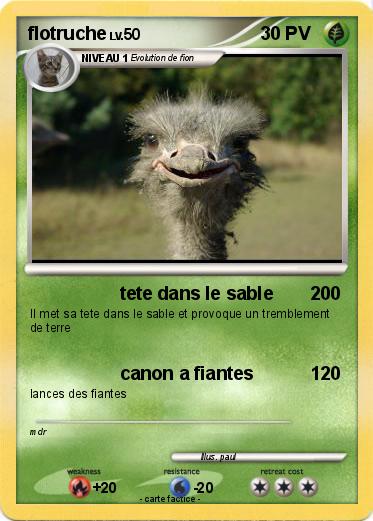 Pokemon flotruche