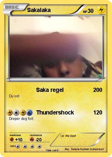 Pokemon Sakalaka