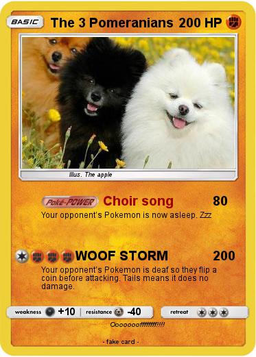 Pokemon The 3 Pomeranians