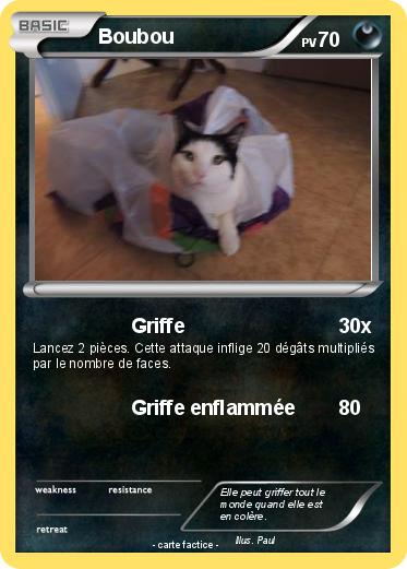 Pokemon Boubou