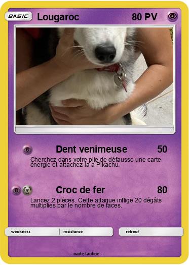Pokemon Lougaroc