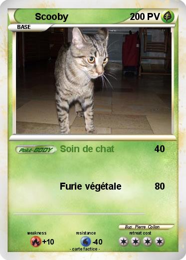 Pokemon Scooby