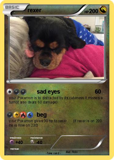 Pokemon rexer