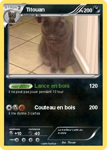 Pokemon Titouan
