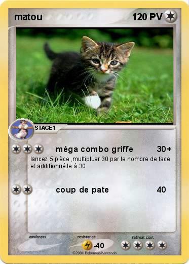 Pokemon matou