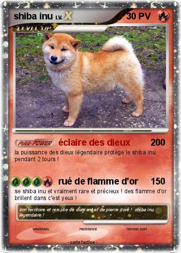 Pokemon shiba inu