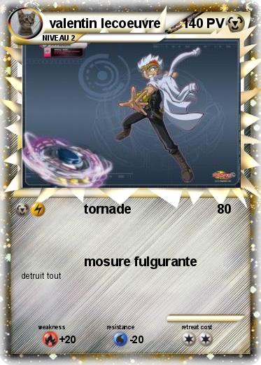 Pokemon valentin lecoeuvre