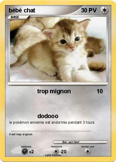 Pokemon bébé chat