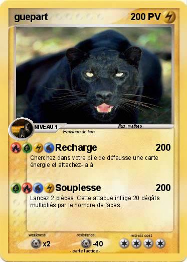 Pokemon guepart