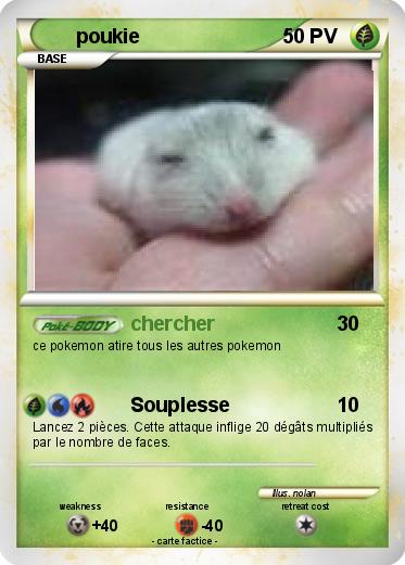 Pokemon poukie