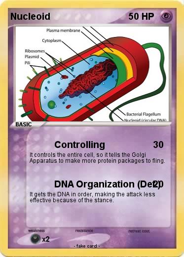 Pokemon Nucleoid