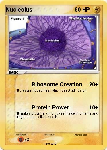 Pokemon Nucleolus