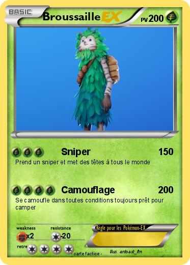 Pokemon Broussaille