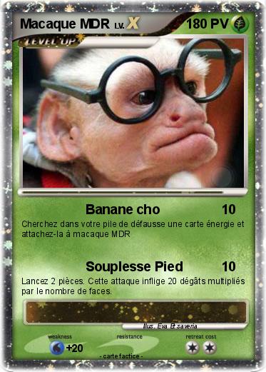 Pokemon Macaque MDR