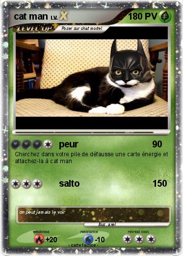 Pokemon cat man