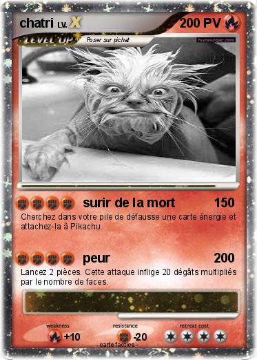 Pokemon chatri