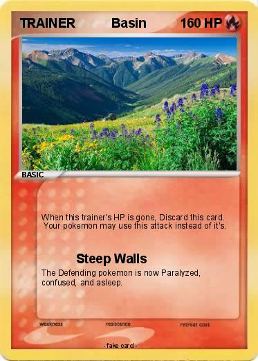 Pokemon TRAINER          Basin