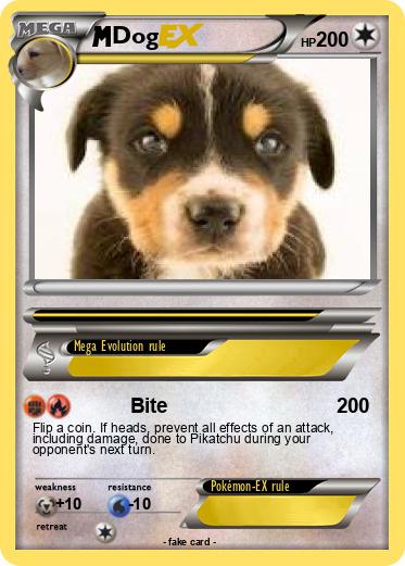 Pokemon Dog