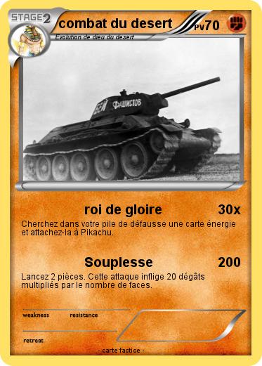 Pokemon combat du desert