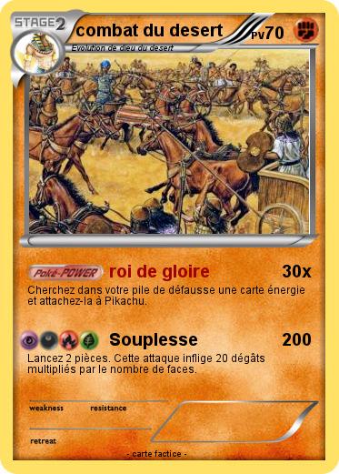 Pokemon combat du desert