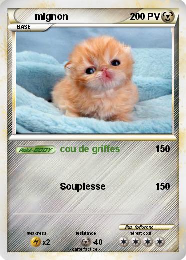 Pokemon mignon