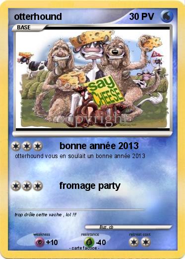 Pokemon otterhound