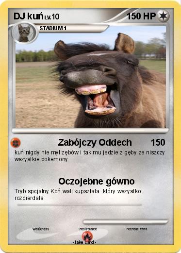 Pokemon DJ kuń