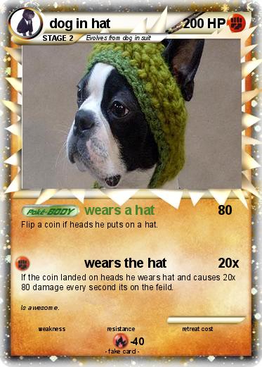 Pokemon dog in hat