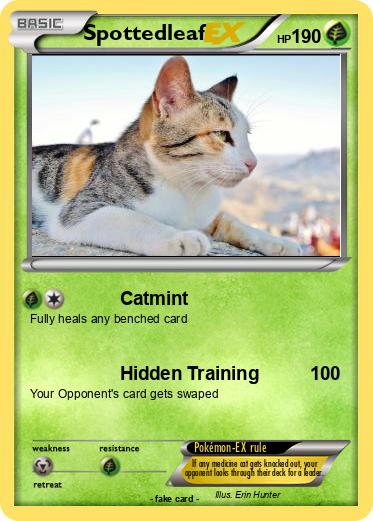 Pokemon Spottedleaf