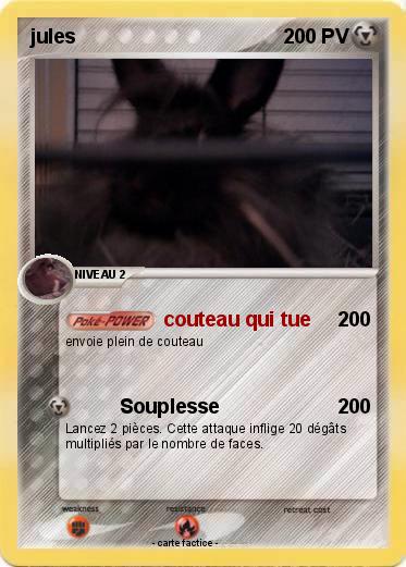 Pokemon jules