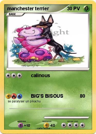Pokemon manchester terrier