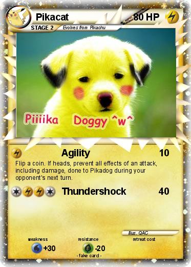 Pokemon Pikacat