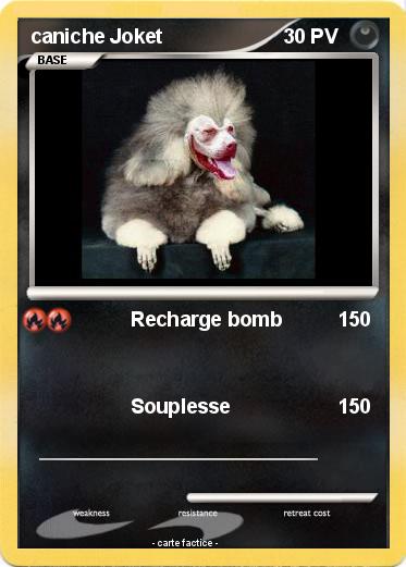 Pokemon caniche Joket